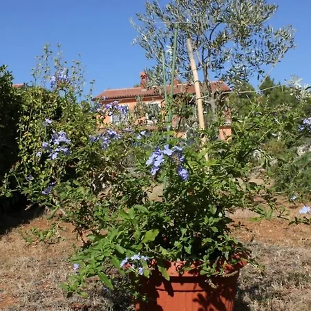 With A Parking Space - 7203 Daire *