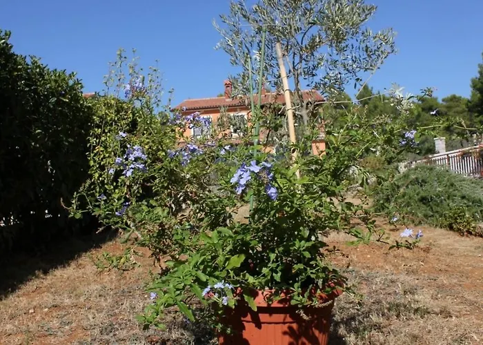 With A Parking Space - 7203 Apartamento *